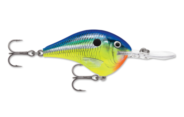 Colorful blue, green, yellow, and orange fishing lure with a clear diving lip and hooks.