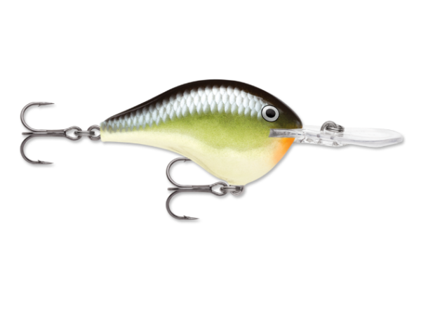 Green and yellow fishing lure with silver scales, dark back, orange belly, and clear lip.