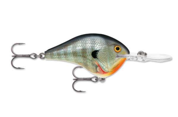 Bluegill patterned fishing lure with orange belly, yellow eye, and two treble hooks.