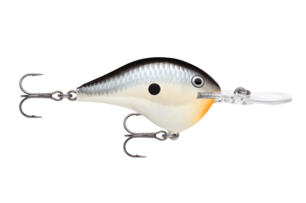 Black, silver, and cream crankbait fishing lure with an orange belly.