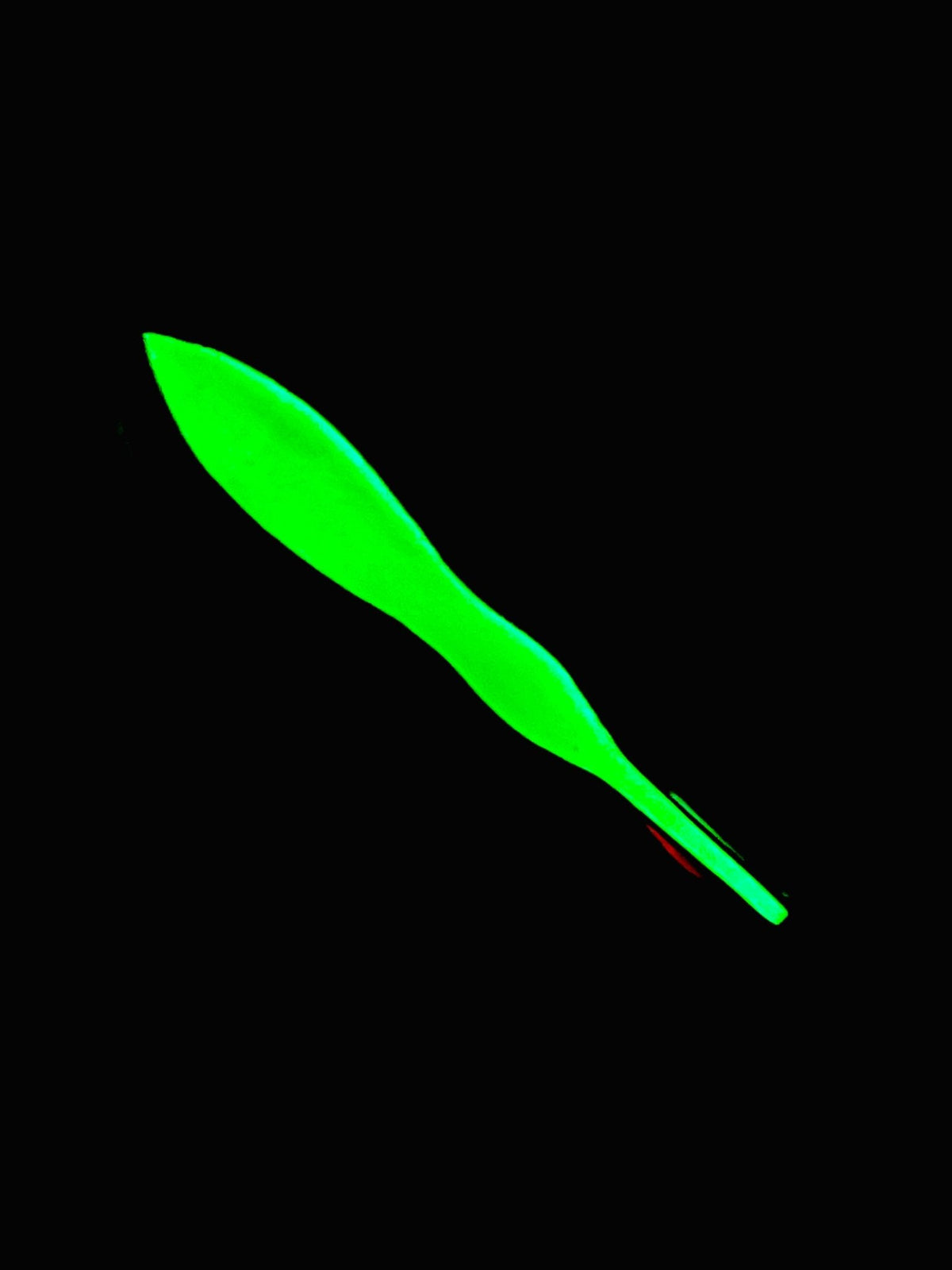 Kraken Jigz Jignado UV Shocker Slow Pitch Jig | 220g