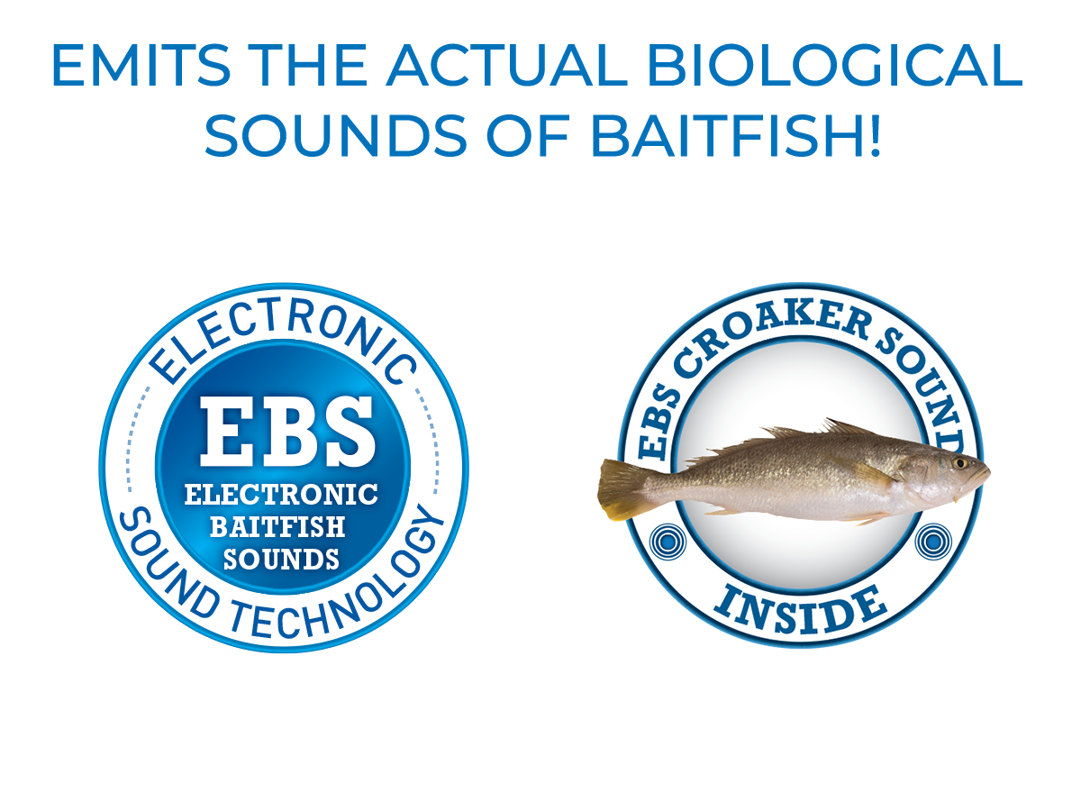 Livingston Lures Big Poppa 6 | EBS Saltwater Topwater Popper