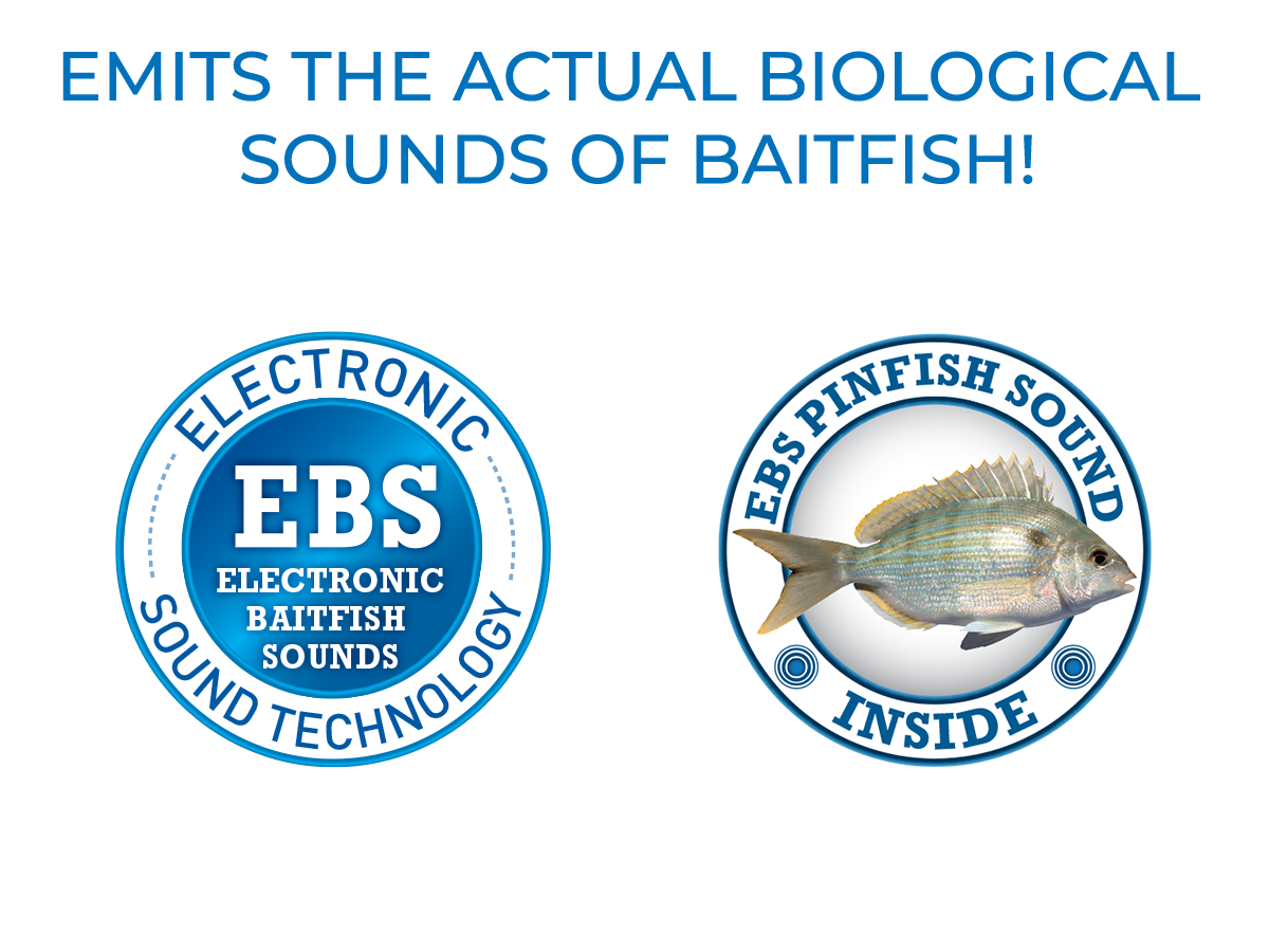 Livingston Lures Big Poppa 6 | EBS Saltwater Topwater Popper