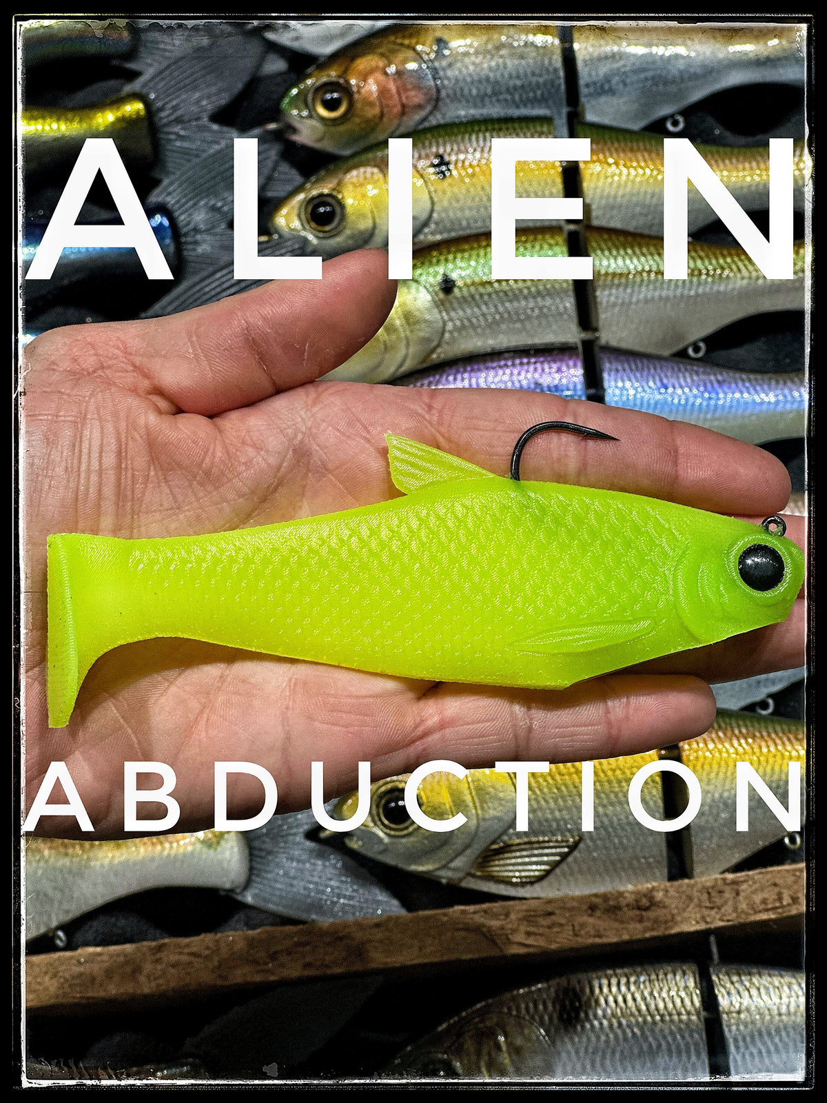 Bull Shad Swimbaits Bacca Burrito Fast Sink 5" & 6"