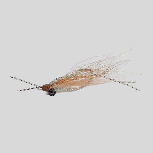 Fish-Skull Rubber Legs Charlie | Crazy Charlie Bonefish Fly | Rubber Legs | Bead Chain & Dumbbell | #6 & #8 | Bonefish & Flats Species | Tropical Saltwater | Flymen Fishing Company
