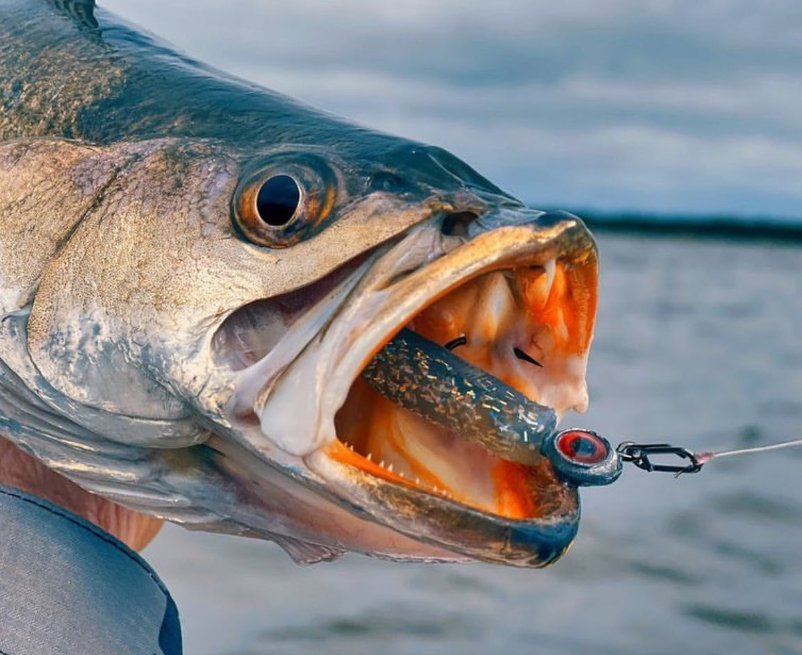 Topwater Co Small Stainless Steel Speed Clips 45 lb
