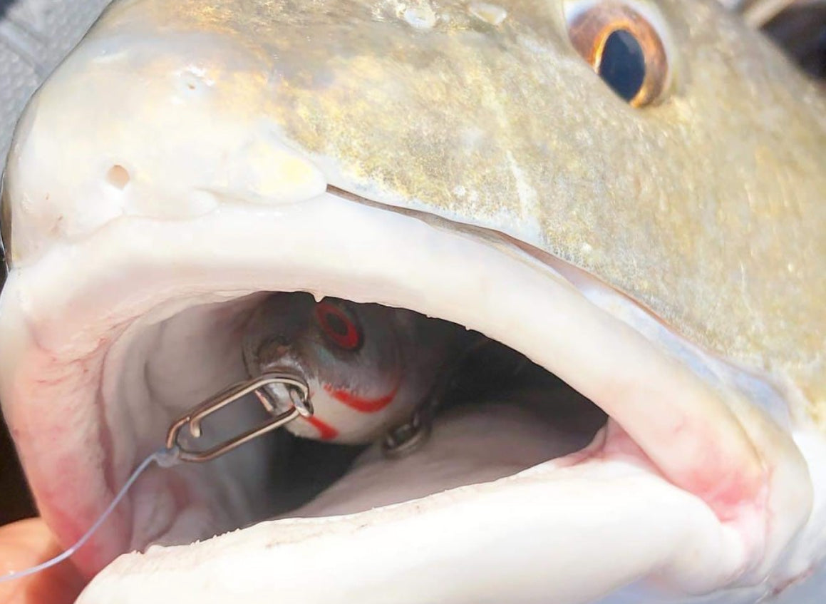 Topwater Co Small Stainless Steel Speed Clips 45 lb