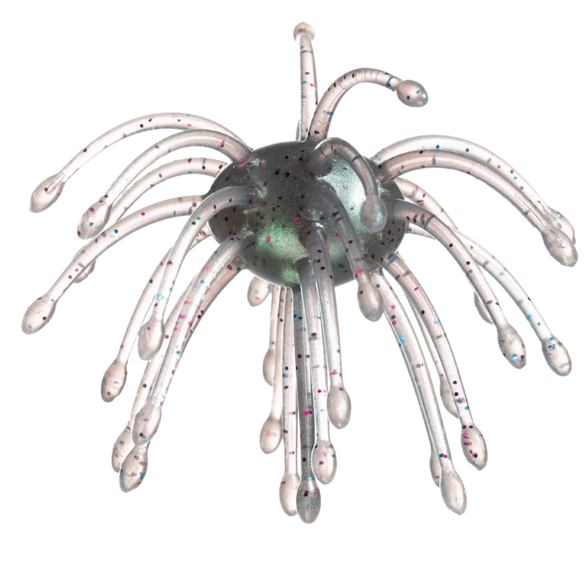 White with sparkle sea urchin lure on a white background