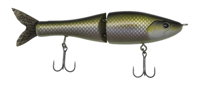 Fishing lure with a detailed fish design on a white background