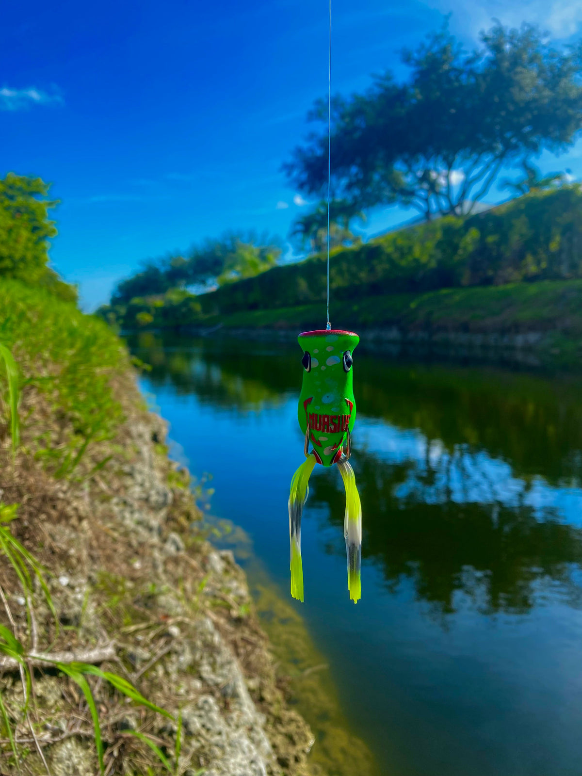 Invasive Lures Chuggerknot Hollow Body Popping Frog