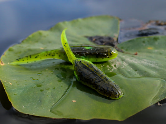 American Snakehead Customs Froglet | 4" Walking Soft Plastic Topwater