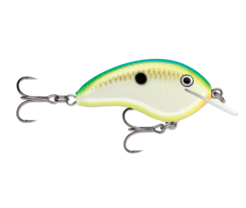 Small citrus shad fishing lure with green back, white body, and two treble hooks.