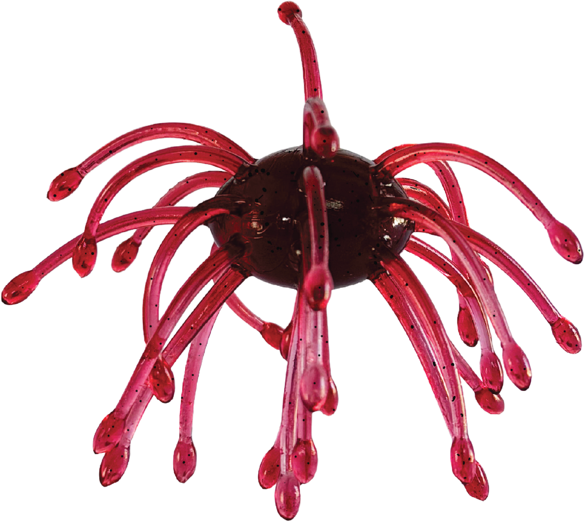 Red sea urchin lure on a white background