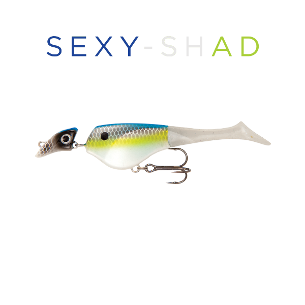 Fishing lure with 'SEXY-SHAD' text on a white background