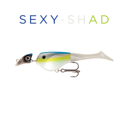 Fishing lure with 'SEXY-SHAD' text on a white background