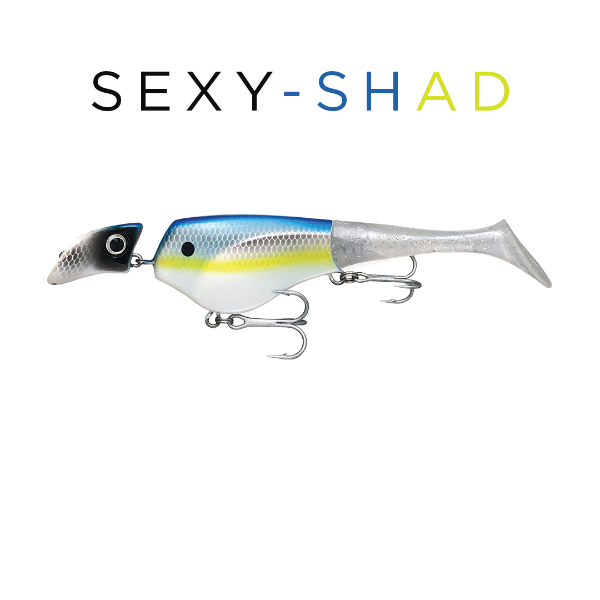 Colorful fishing lure with 'SEXY-SHAD' text on a white background