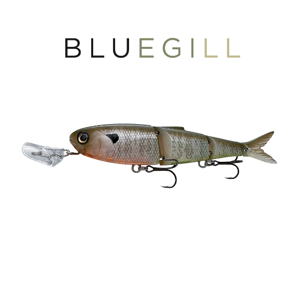 Fishing lure resembling a bluegill fish on a white background with 'BLUEGILL' text.