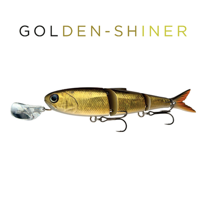 Fishing lure resembling a golden shiner on a white background with 'GOLDEN-SHINER' text.
