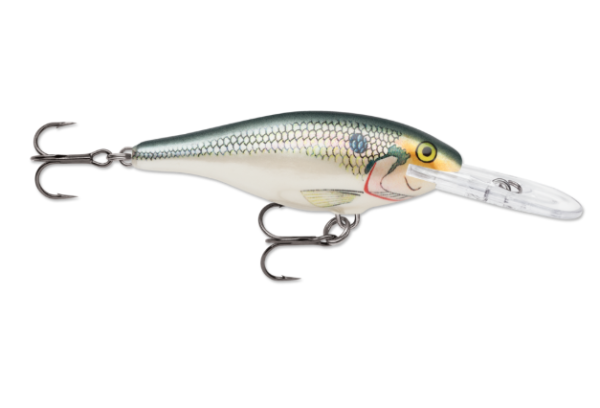 A realistic shad-colored fishing lure with two treble hooks and a clear lip.