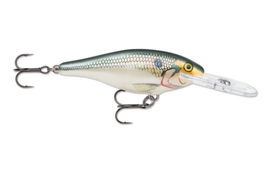 A realistic shad-colored fishing lure with two treble hooks and a clear lip.