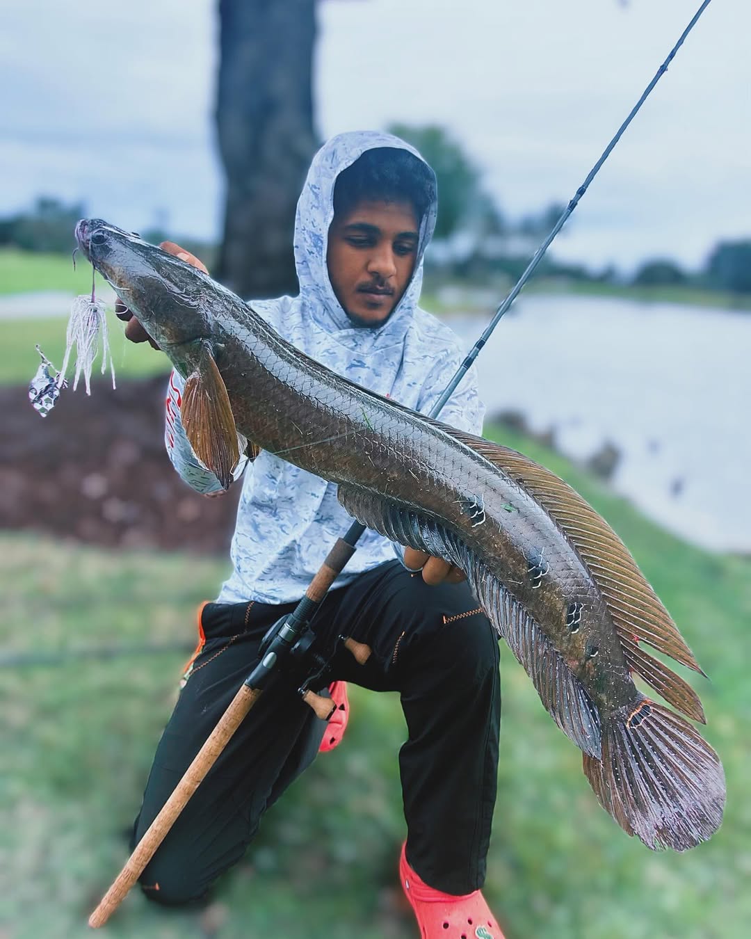 American Snakehead Customs Cobra Spinnerbait V2.0 | Broadhead Blade