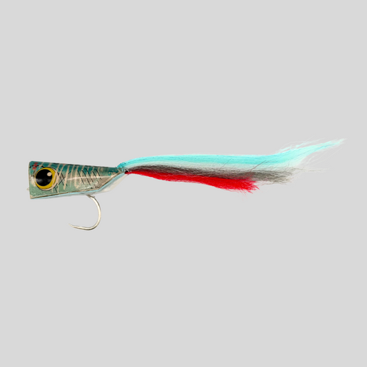 Surface Seducer PopStar Big Game Popper | Holographic Foam | Built-In Rattle | Gamakatsu SL12S | 2/0, 6/0 & 8/0 | 3 Colors | GT, Peacock Bass & Large Predators | Flymen