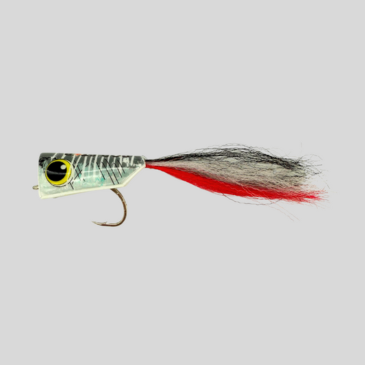 Surface Seducer PopStar Big Game Popper | Holographic Foam | Built-In Rattle | Gamakatsu SL12S | 2/0, 6/0 & 8/0 | 3 Colors | GT, Peacock Bass & Large Predators | Flymen