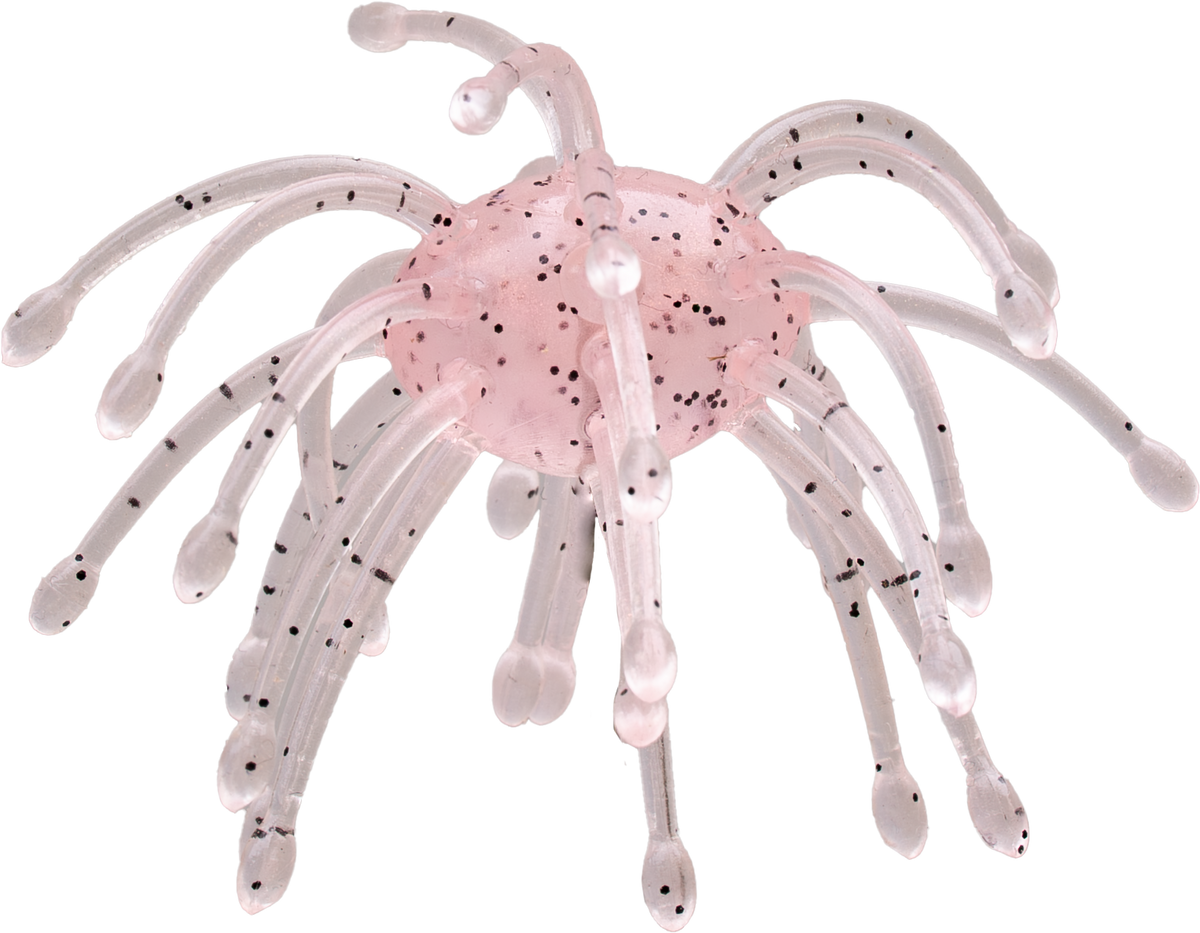 Pink and clear sea urchin lure on a white background