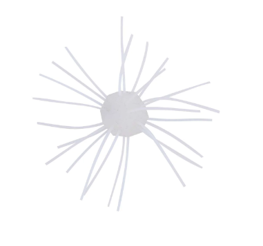 Small white core with many thin, translucent white strands radiating outwards.