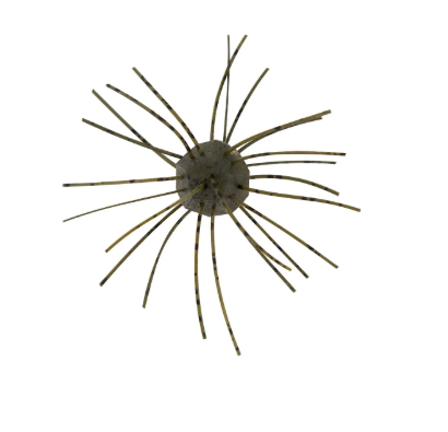Top-down view of a green pumpkin fishing lure with striped spikes.