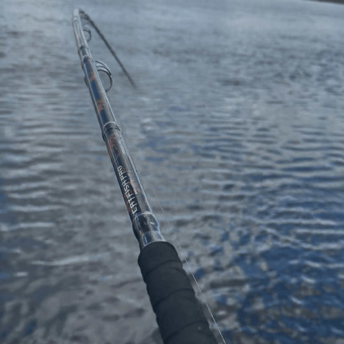 Catfish Pro Black Dragon Fire Casting Rod | 7'6" Glow