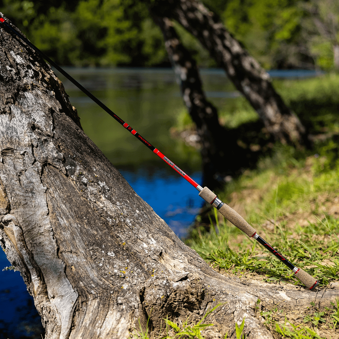 Favorite Fishing Brush Dobber Crappie Spinning Rod