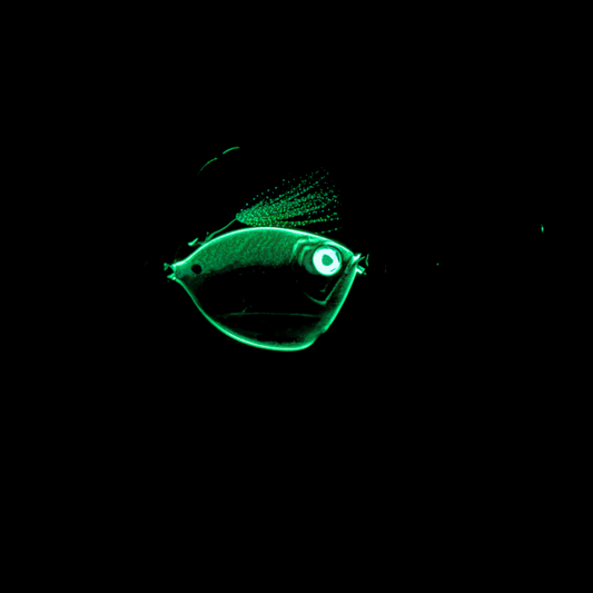 AnglerCo Imposter Jig | Hornbelly Glow-in-the-Dark | Deep Drop & Night Fishing | Flutter & Slow Pitch | 30g–600g