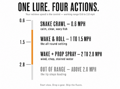 An informational graphic titled 'ONE LURE. FOUR ACTIONS.