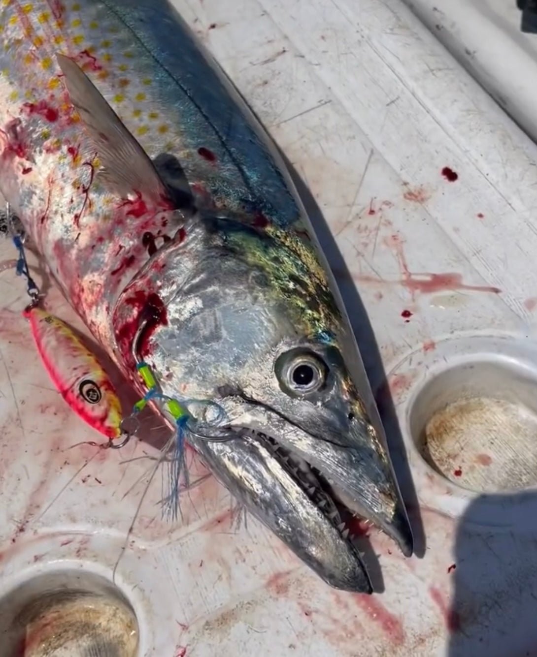 Kraken Jigz Rip Curl Slow Pitch Jig