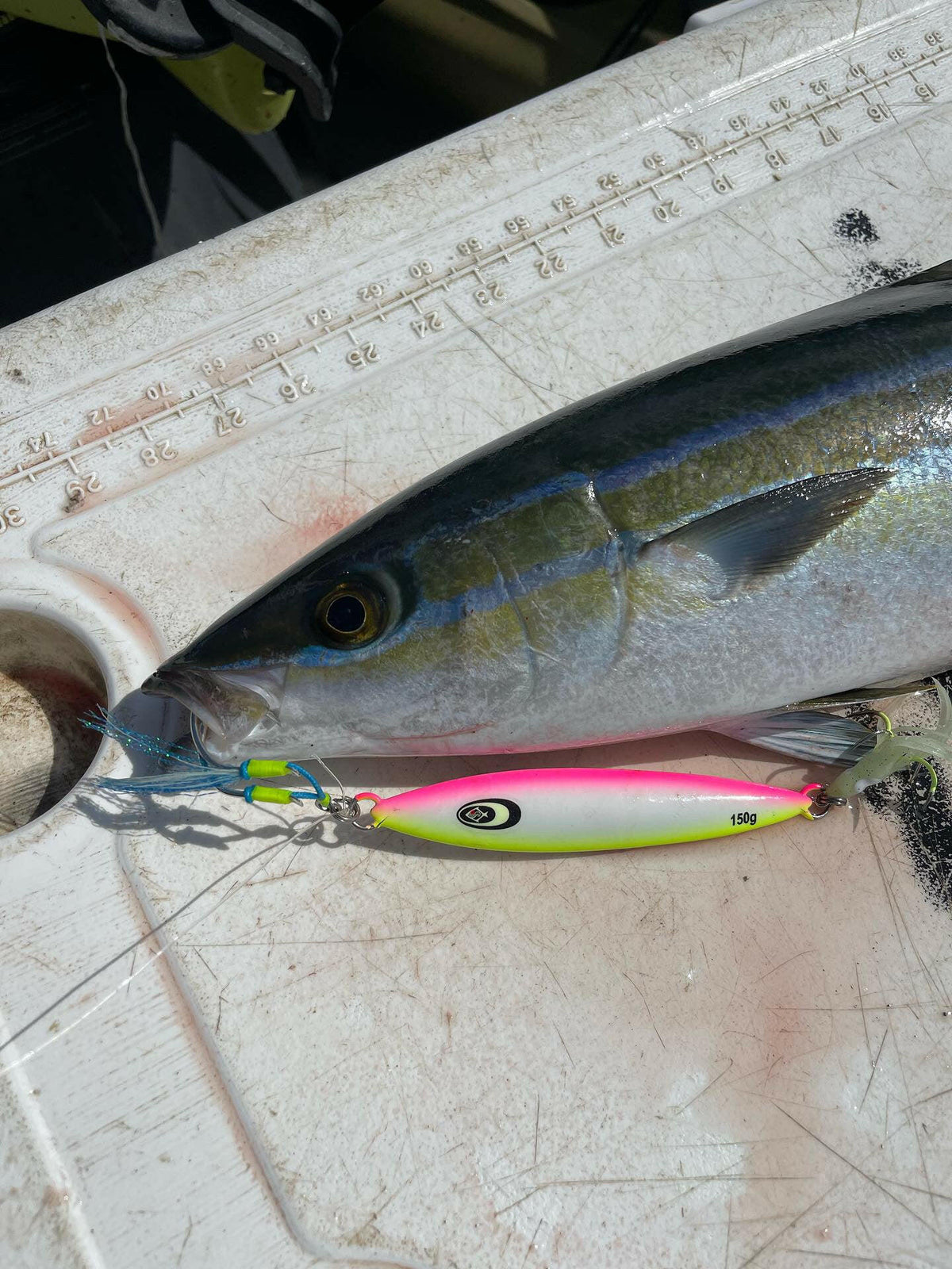 Kraken Jigz Rip Curl Slow Pitch Jig