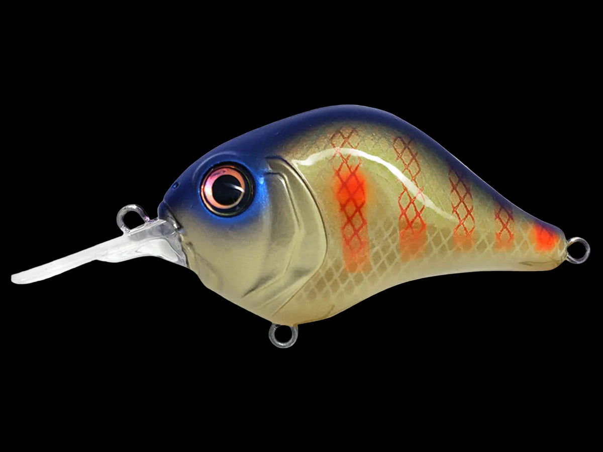 Bill Lewis MR-6 Bluegill crankbait