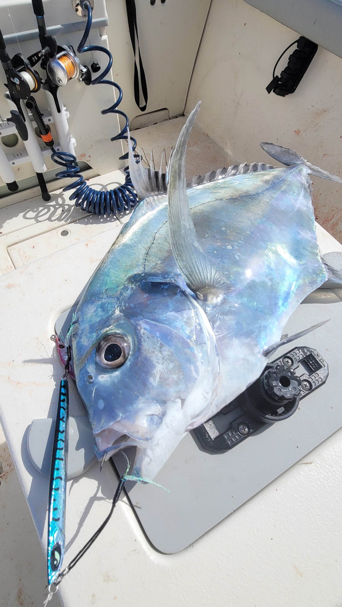 Submission Fishing Co. Ogre Slow Pitch Jig | Knife-Style | Through-Wire | Fast Descent & Flutter Fall | 80g, 200g & 300g