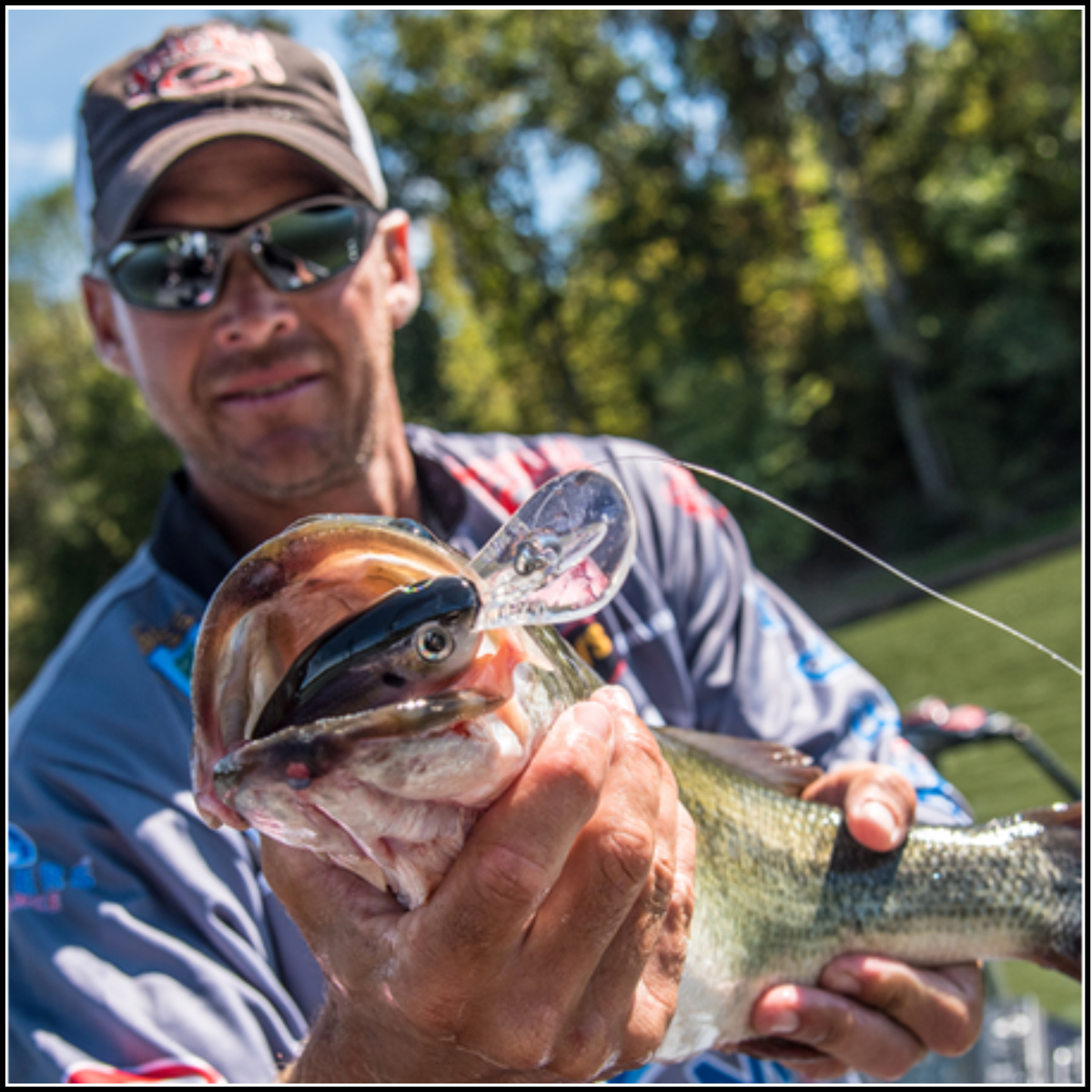 Strike King 6XD Deep Diving Crankbait 3" 1 oz