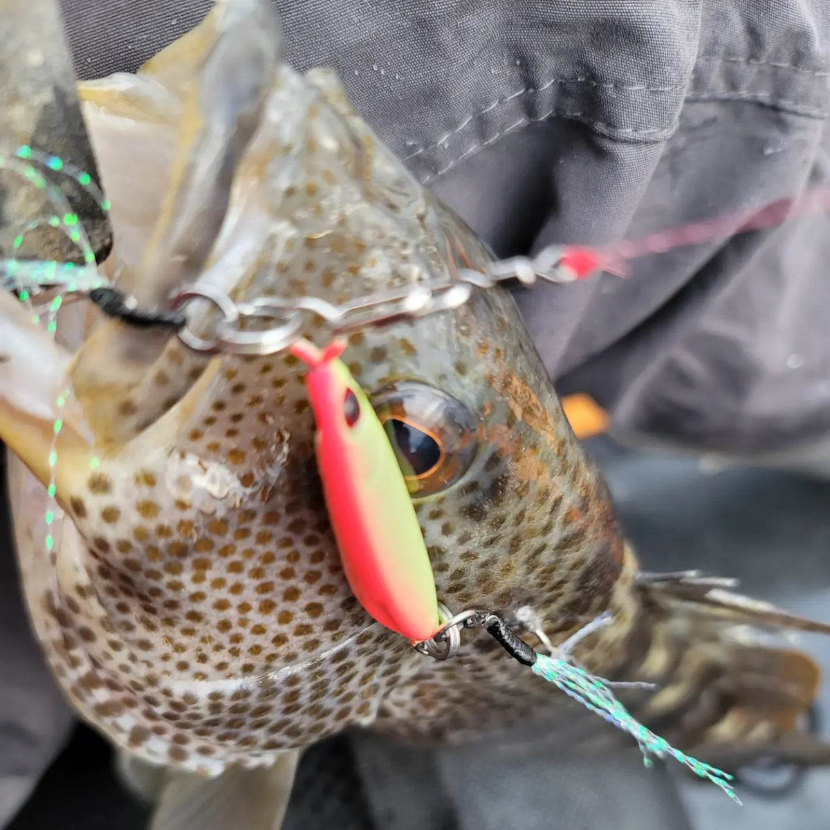 Submission Fishing Co. Sumo Slow Pitch Jig | Two-Face Rigging | Leaf Wobble | 40g & 60g | 5 Colors
