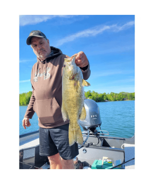 WM Bayou Techno Frog | Soft Plastic Frog Bait for Bass