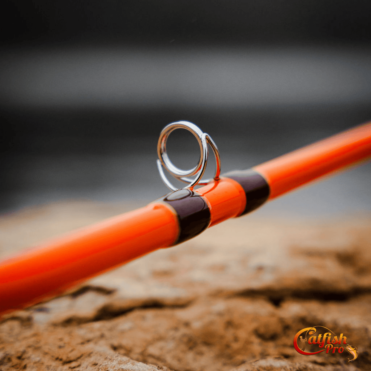 Catfish Pro Tournament Series Spinning Rod