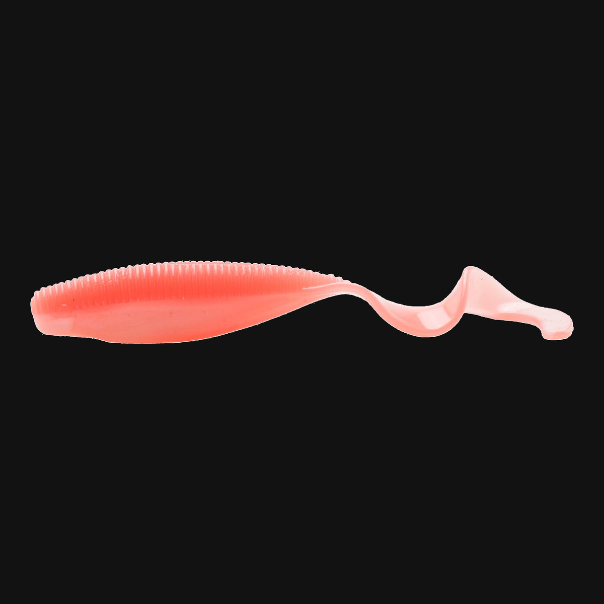 Z-Man Scented Curly TailZ 4-inch bait in Coconut Ice Glow